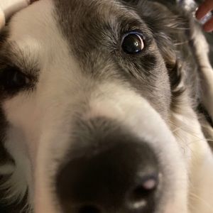 Meet your Posher, Katelyn